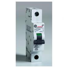ABB - Electrification EP101ULH1D40 - EP100 ULH 1P 40 D 120V/001 GE PE