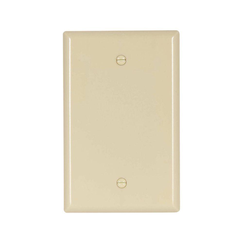 Wallplate 1G Blank Thrmst Box Mnt Mid IV