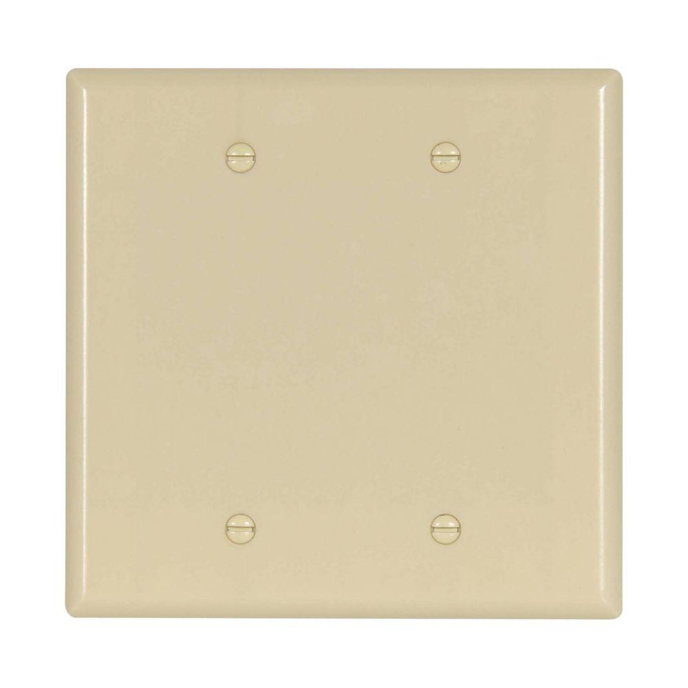 Wallplate 2G Blank Thrmst Box Mnt Mid IV