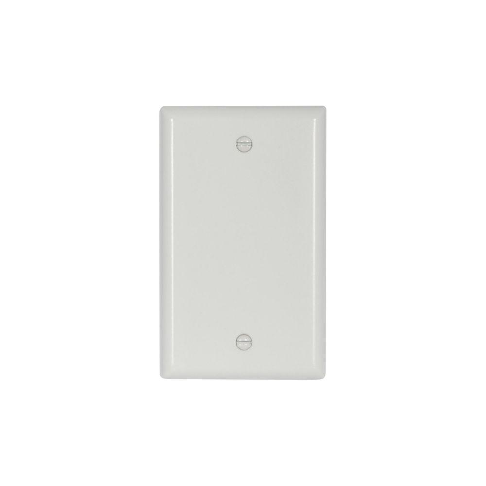 Wallplate 1G Blank Thrmst Box Mt Std WH