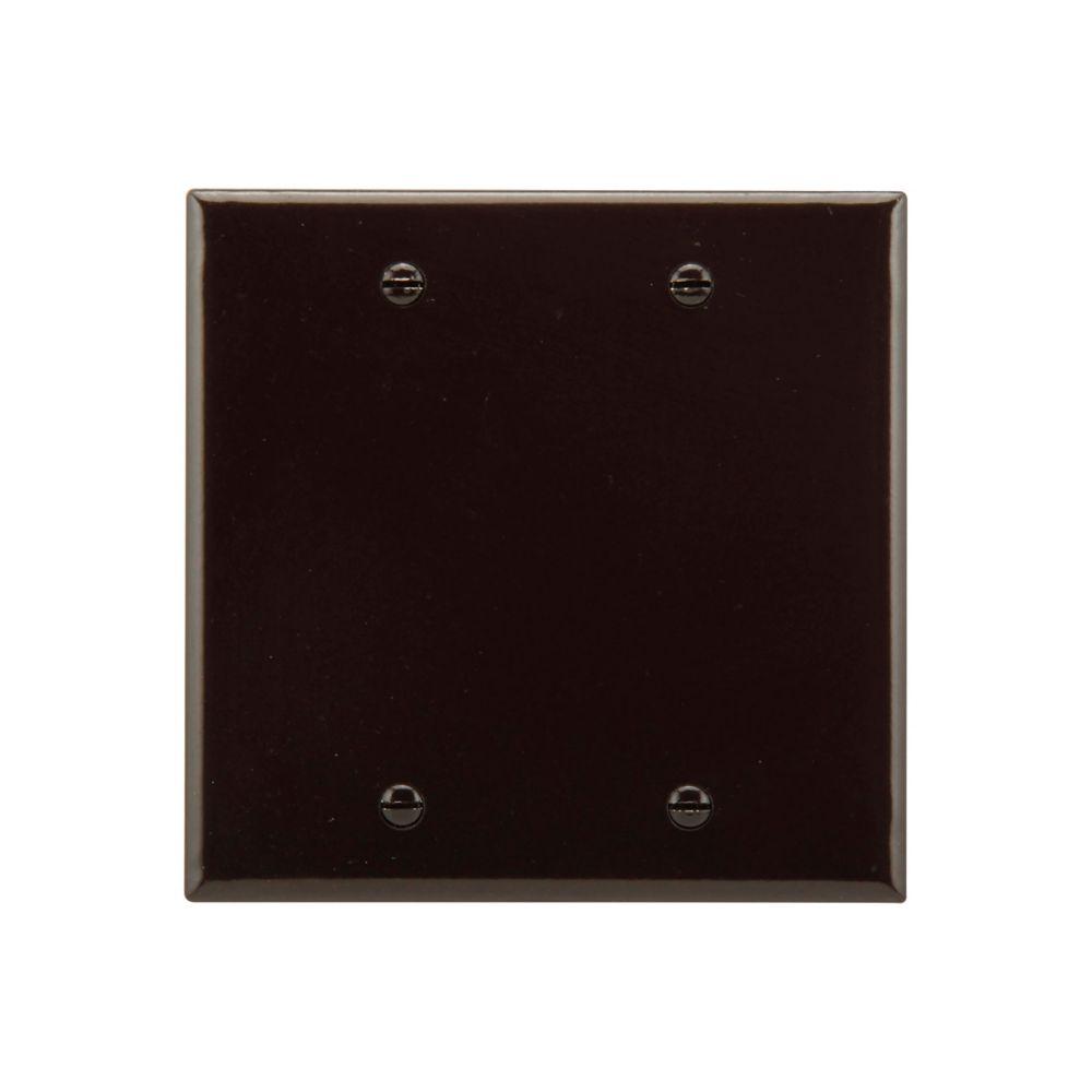 Wallplate 2G Blank Thrmst Box Mt Std BR