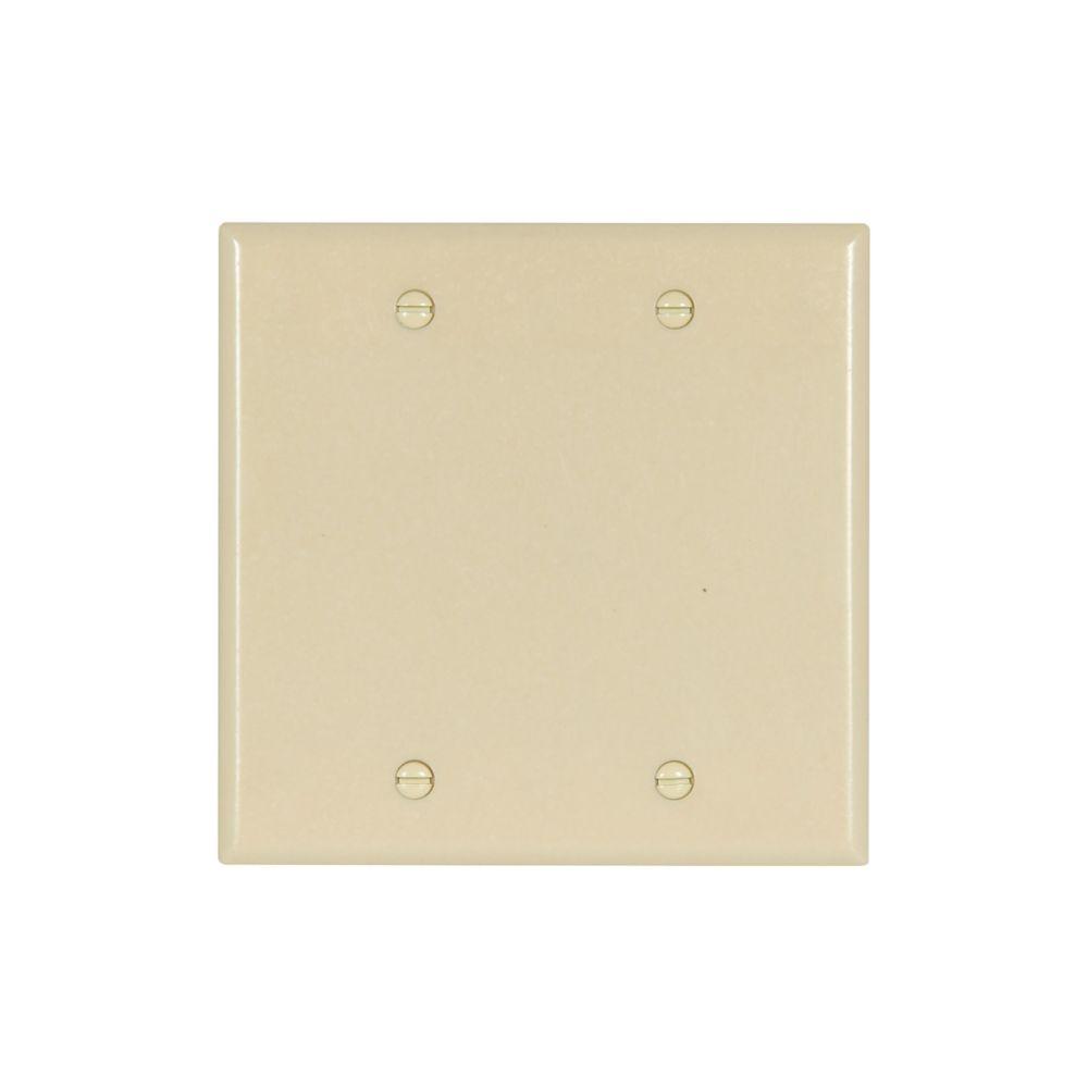 Wallplate 2G Blank Thrmst Box Mt Std IV