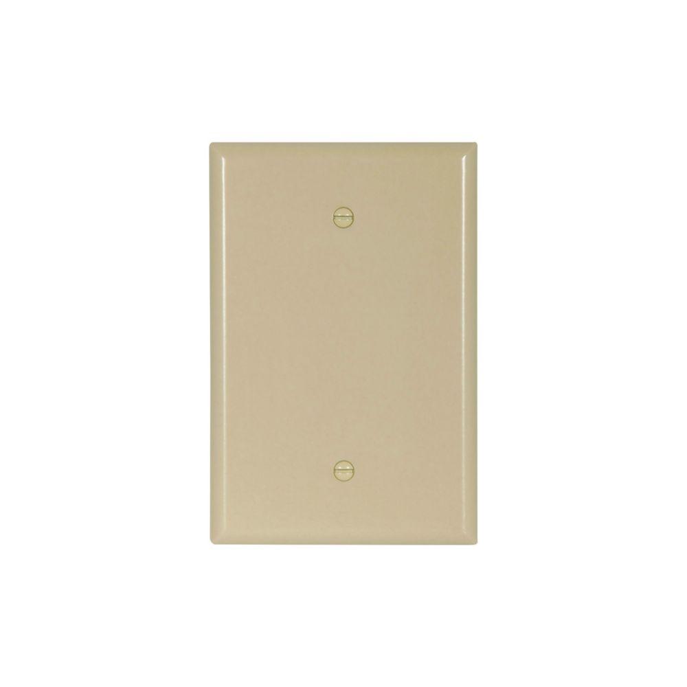 Wlplt 1G Blank Box Mnt Thermoset Ovr IV