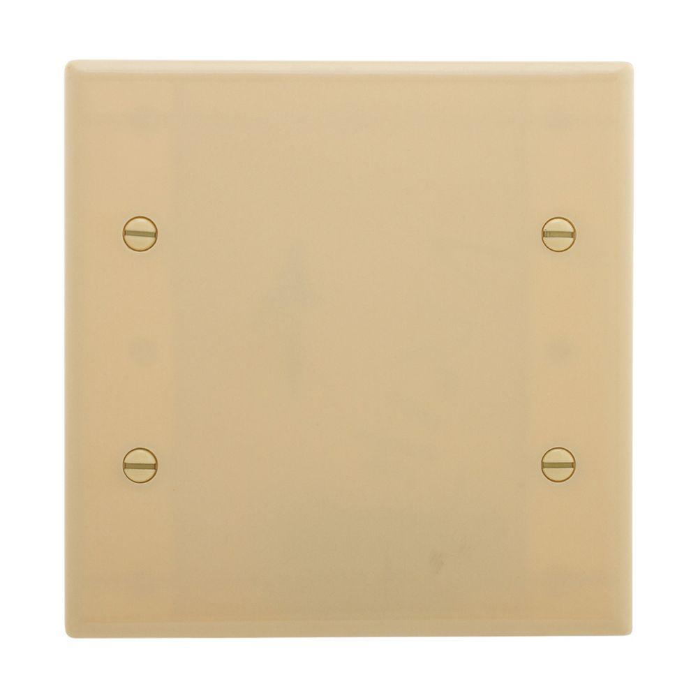 Wallplate 2G Blank Thrmst Std Deep IV