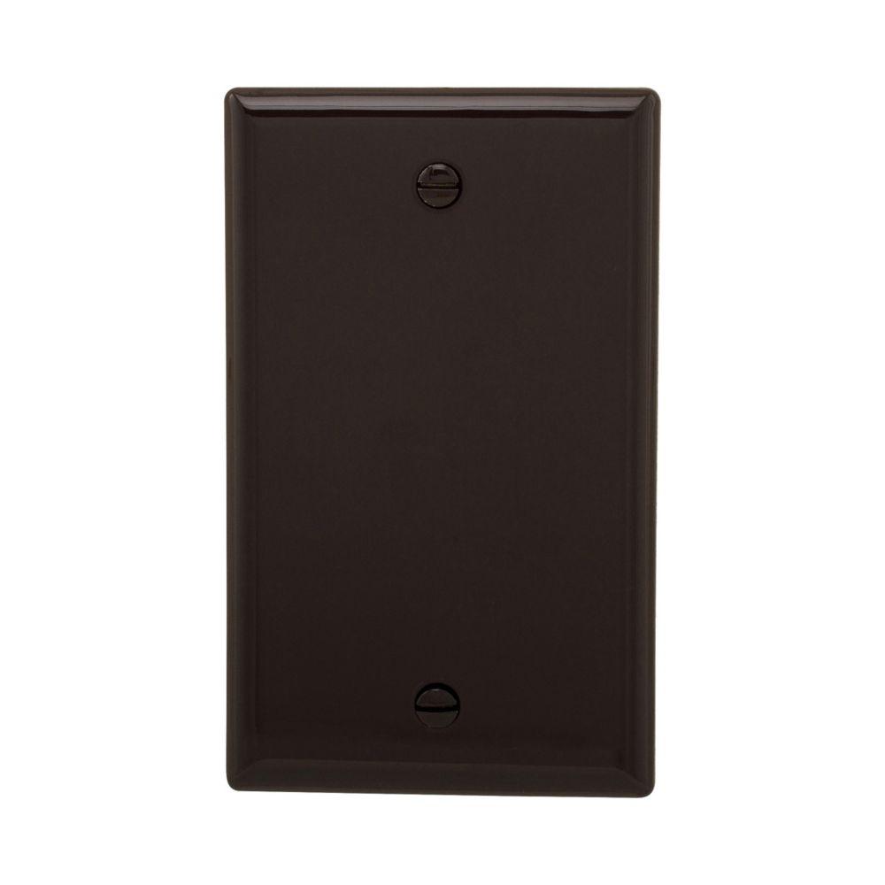 Wallplate 1G Blank Box Mnt Nylon Std BR