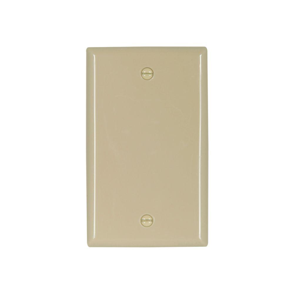 Wallplate 1G Blank Box Mnt Nylon Std IV