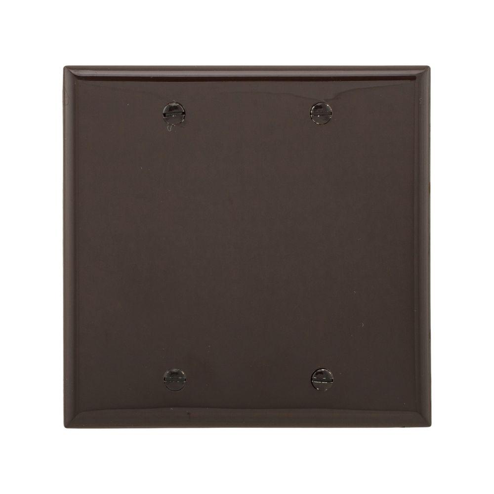 Wallplate 2G Blank Box Mnt Nylon Std BR