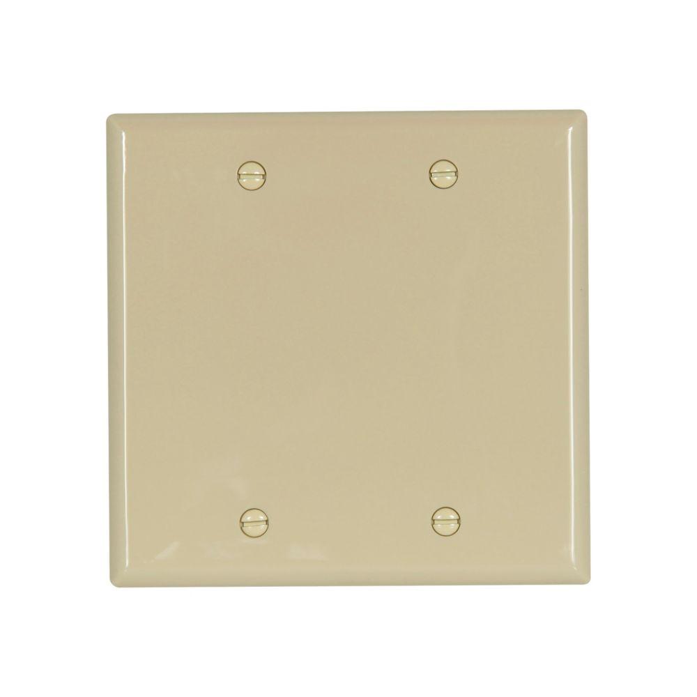 Wallplate 2G Blank Box Mnt Nylon Std IV