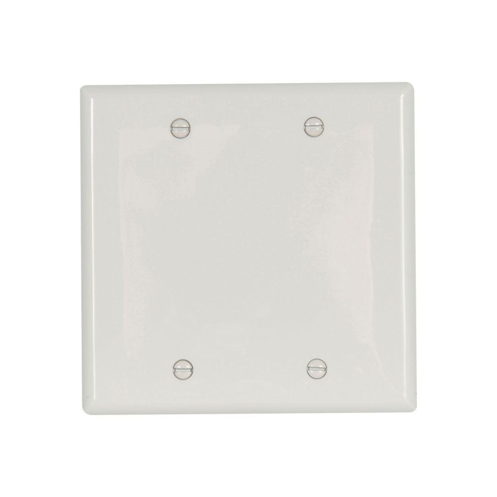 Wallplate 2G Blank Box Mnt Nylon Std WH