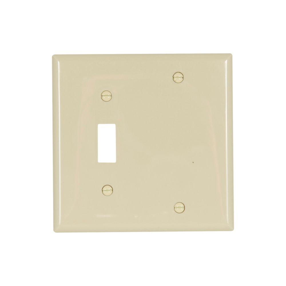 Wallplate 2G Toggle/Blank Nylon Std IV