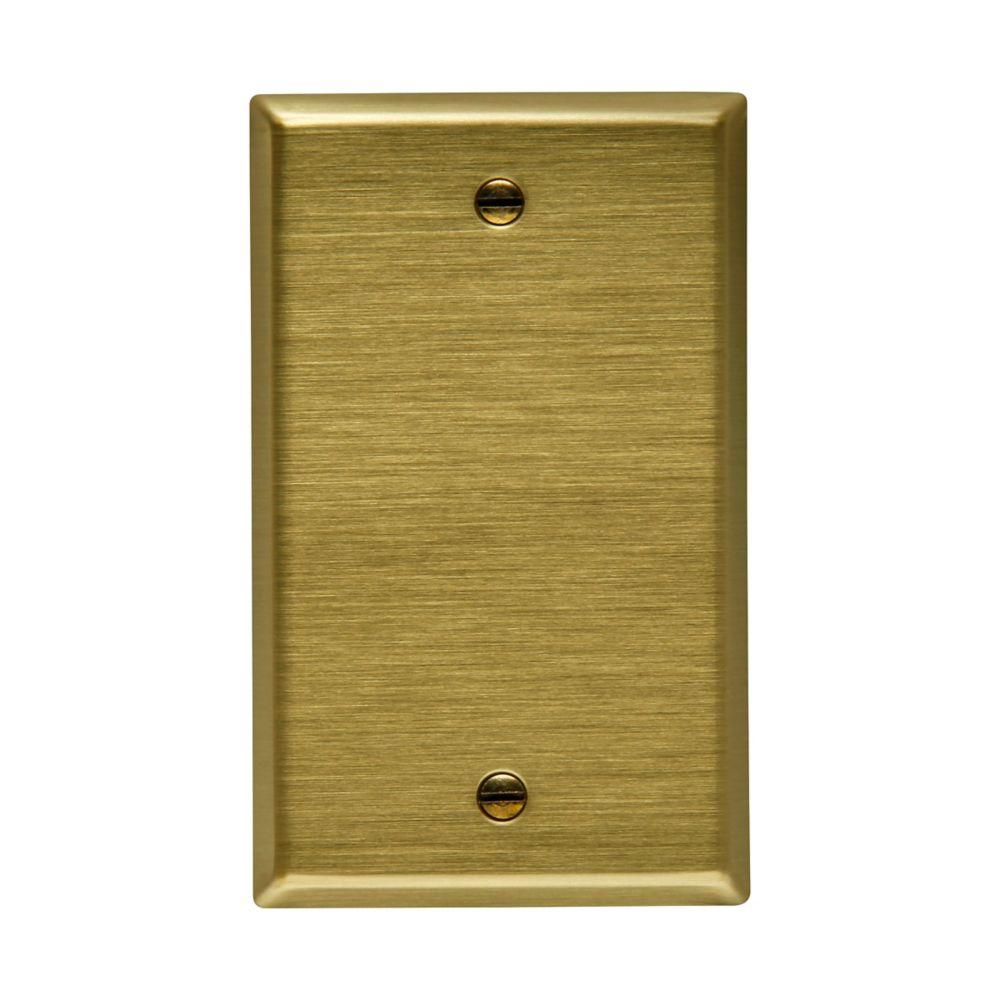 Wallplate 1G Blank Box Mount Std BR