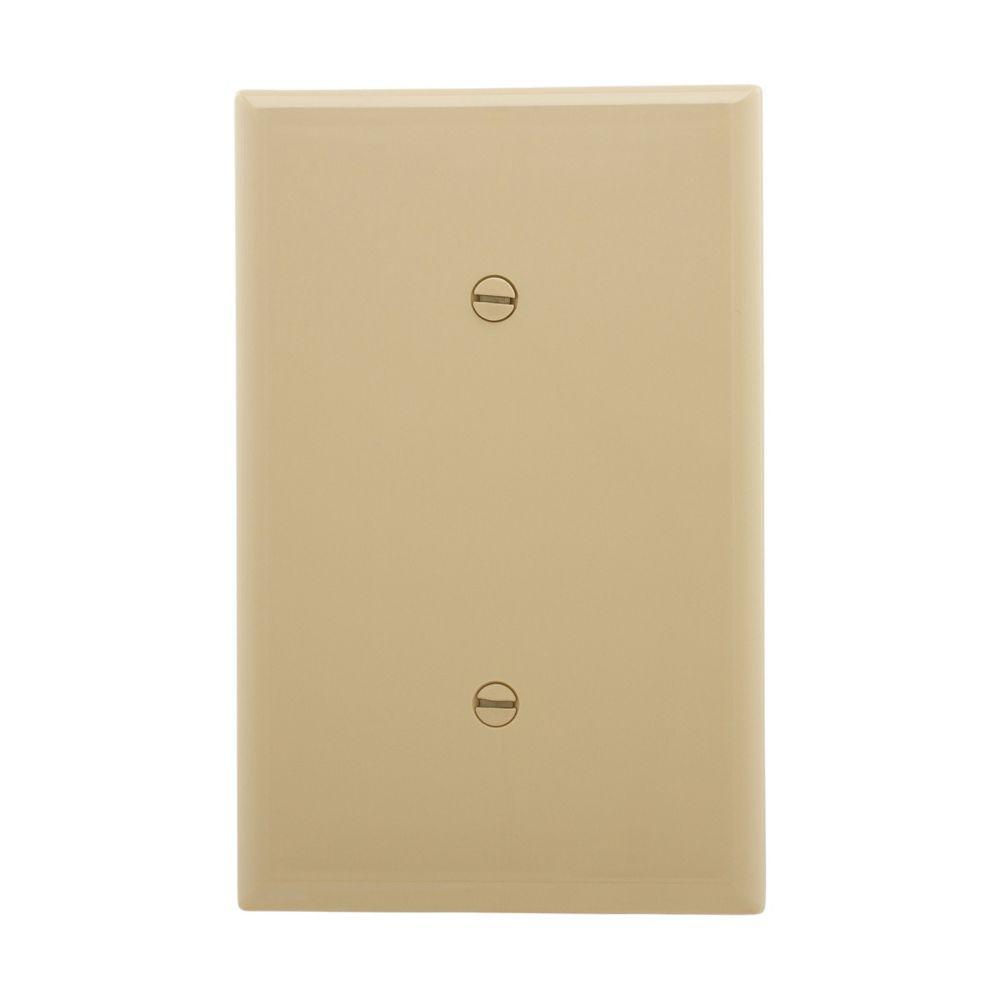Wallplate 1G Blank Strap Mount Mid IV