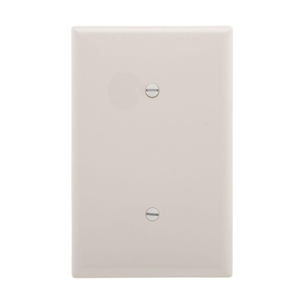 Wallplate 1G Blank Strap Mount Mid WH