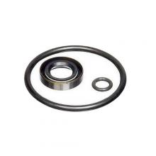 Fluke P5522SK - SEAL KIT P5522