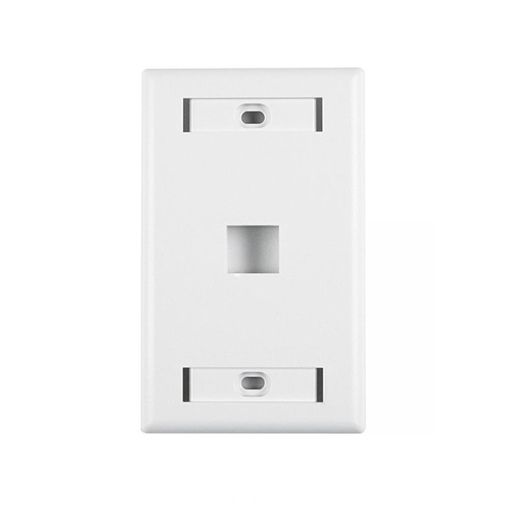 hrzntl sngl port faceplate w/ID windw FW