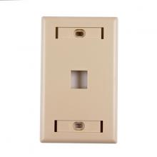 HellermannTyton FPIHSINGLE-I - hrzntl sngl port faceplate w/ID window I