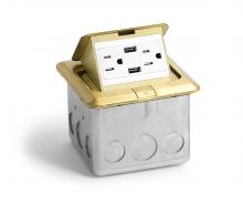 Lew Electric Fittings PUFP-SQ-BR-USB - BRS PO FLR PLT ASSY, DECORA RCPT & 2 USB