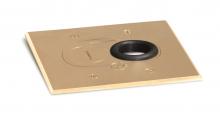 Lew Electric Fittings RCFB-1-BP - REPLACEMENT COVER FOR RCFB-1