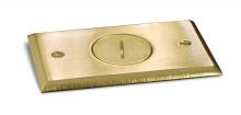 Lew Electric Fittings RRP-1-BPR - REPLACEMENT PLATE RRP-1-BP/SWB-1-BP