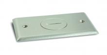 Lew Electric Fittings RRP-1-NPR - REPLACEMENT PLATE RRP-1-NP/SWB-1-NP
