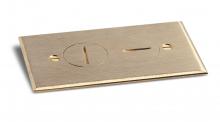 Lew Electric Fittings RRP-2-BR - REPLACEMENT PLATE RRP-2/SWB-2
