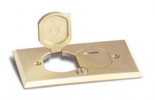 Lew Electric Fittings RRP-2-LRR - REPLACEMENT PLATE RRP-2-LR/SWB-2-LR