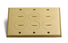 Lew Electric Fittings RRP-6-SPB - BRASS SCREW PLATE FOR PB3