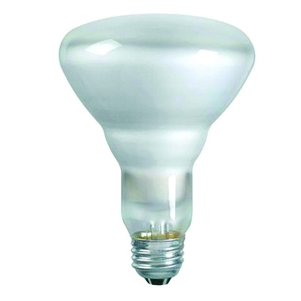 65BR30 FL 130V (PK X 12)