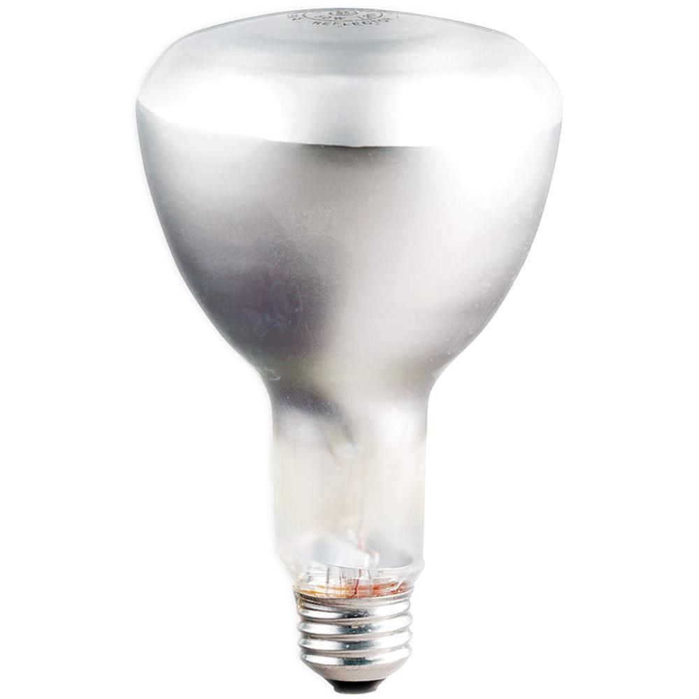 50ER30 120V (PK X 24)