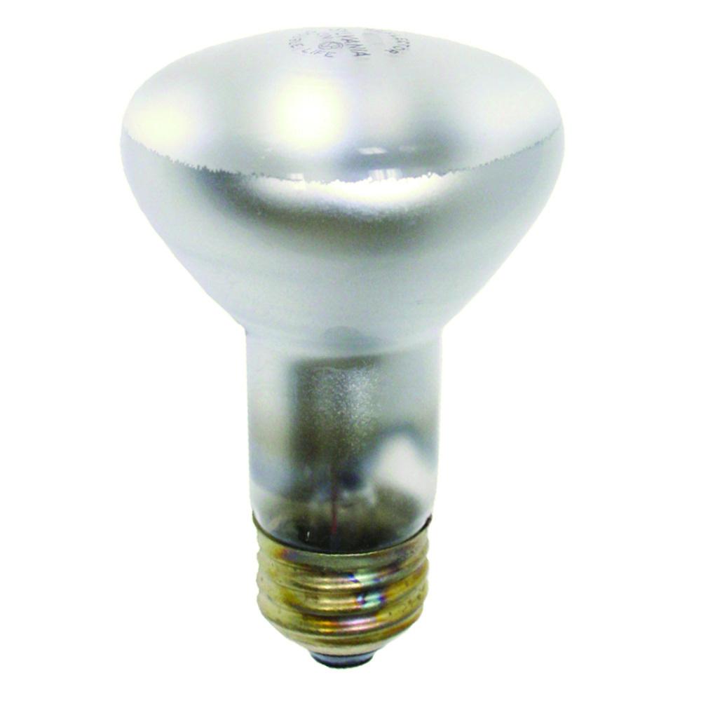30R20 120V (PK X 12)