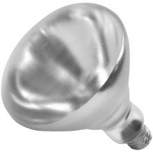 Shat-R-Shield 01696W - 250R40/HT/CLEAR (PK X 2)