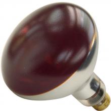 Shat-R-Shield 01714I - 250R40/RED (PK X 2)