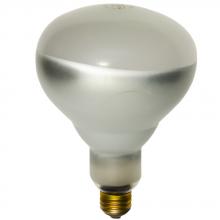 Shat-R-Shield 01731 - 250BR40/1 120V (PK X 2)