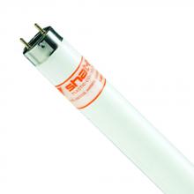 Shat-R-Shield 17015S - F15T8 CW (PK X 24)