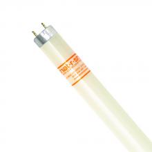 Shat-R-Shield 21303S - F18T8 CW/K24 (PK X 24)