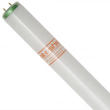 Shat-R-Shield 28028 - F30T12 D/ALTO (PK X 30)