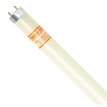 Shat-R-Shield 46110 - F32T8 TL950 (PK X 30)