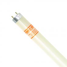 Shat-R-Shield 69452G - F28T8 CW/4/R  (PK X 6)