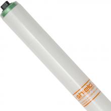 Shat-R-Shield 70013 - F96T12 CW/VHO/TSC (PK X 15)