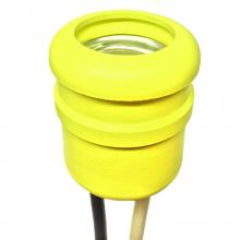Shat-R-Shield WTNB - WATER TGHT SOCKET PENDENTW/SL (PKX5)