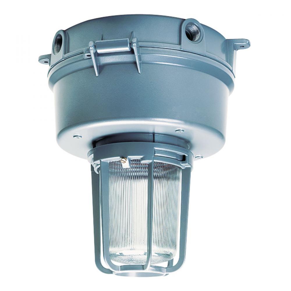 Globe 5 1/2&#34;
