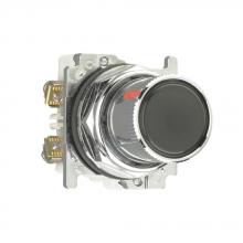 Eaton 10250T2415-2 - ROTO-PUSH 2P FLUSH BK C5 2NO