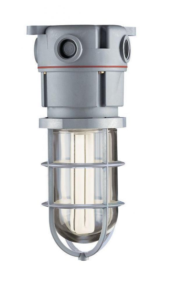 CEIL. MT. 13W PVC CF FIXT. CLEAR STD GG SCEPTALI