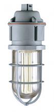 Multi Fittings Corp 077496 - PEND. MOUNT 150W PVC LT/FIX RED SCEPTALIGHT