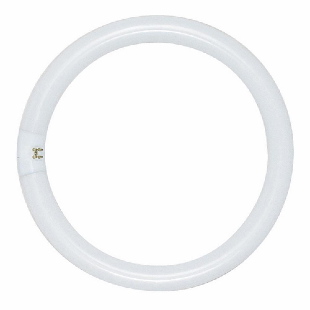 FC16T9/CW SATCO