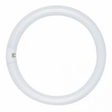 Satco S6506 - FC16T9/CW SATCO