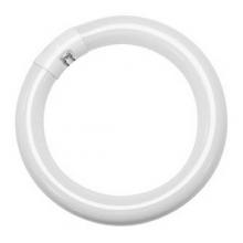 TCP 3203051K - 30W CIRCLINE LAMP 51K