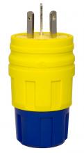 Ericson 1507-PW6P - PLG CRW' N-NEMA 15A/125V/10A/250V W