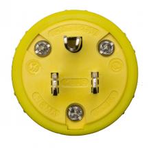 Ericson 1510-PG - PLG-15AMP-125V STR BLADE 5-15