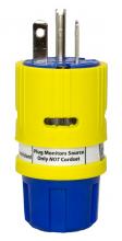 Ericson 1512-PMGL - PLG -20A/125V STR BLADE GCM PERMA-GRP